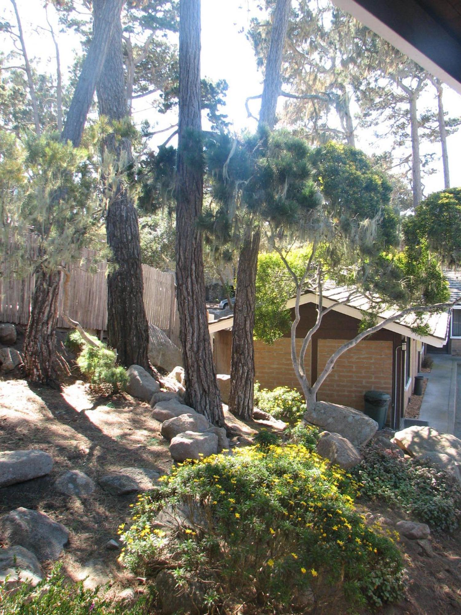Lighthouse Lodge & Cottages Πασίφικ Γκρόουβ Εξωτερικό φωτογραφία